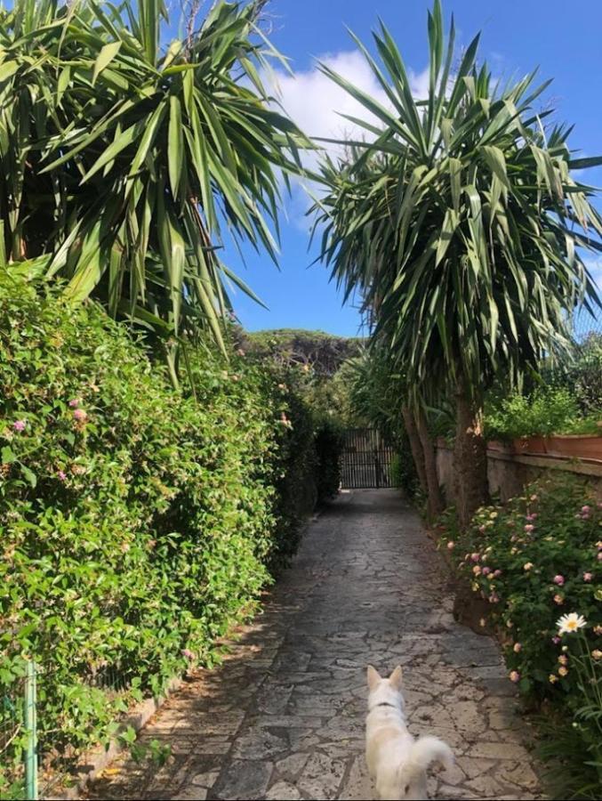 Puravida 2 Lägenhet Anzio Exteriör bild